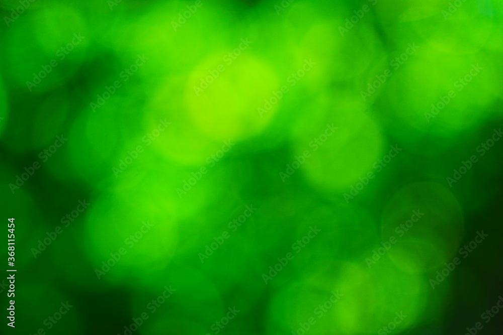 Beautiful green nature background, Sunlight shining through the leaves of trees, natural blurred background, Nature abstract background, nature green bokeh Beautiful green nature background, Sunlight shining through the leaves of trees, natural blurred background, Nature abstract background, nature green bokeh