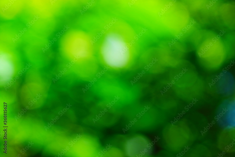 Beautiful green nature background, Sunlight shining through the leaves of trees, natural blurred background, Nature abstract background, nature green bokeh Beautiful green nature background, Sunlight shining through the leaves of trees, natural blurred background, Nature abstract background, nature green bokeh