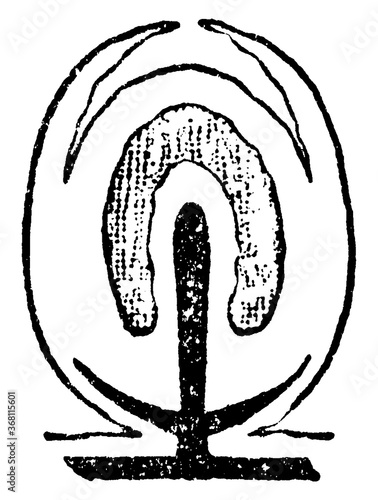 Sporosae, vintage illustration.