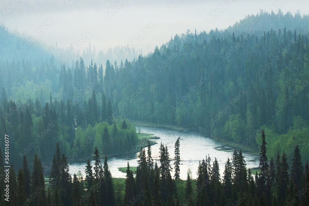 Summery misty river valley between the taiga forest in Oulanka National Park, Northern Finland. 