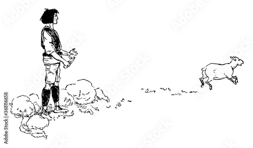 Sheep shearing, vintage illustration