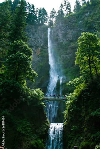 waterfall in the forest