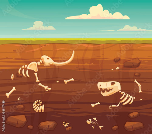 Ground layers with bones. Buried fossil animals, dinosaur, mammot, fish skeleton bone and shellfish.Vector flat style cartoon illustration