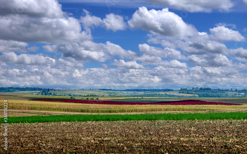 Beautiful black earth fields in Ukraine. Agricultural rural landscape, colorf...