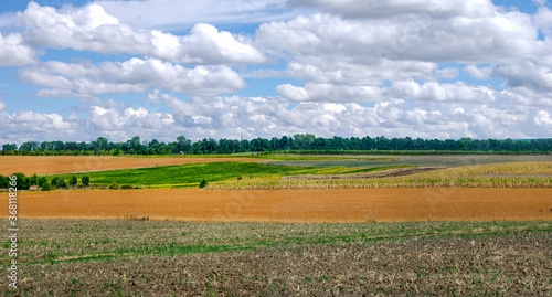 panoramic view of arable lands field. Agricultural rural landscape, colorful ...