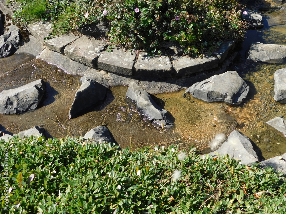 Obraz premium stone wall with flowers