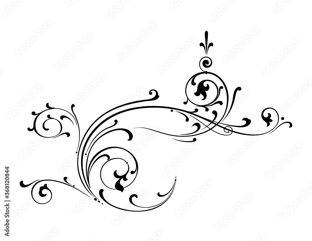Vector Scroll Design Vector Scroll Design
