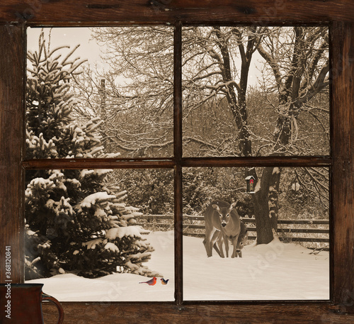 Christmas card design looking out the window with deer and other animals in the snow.
