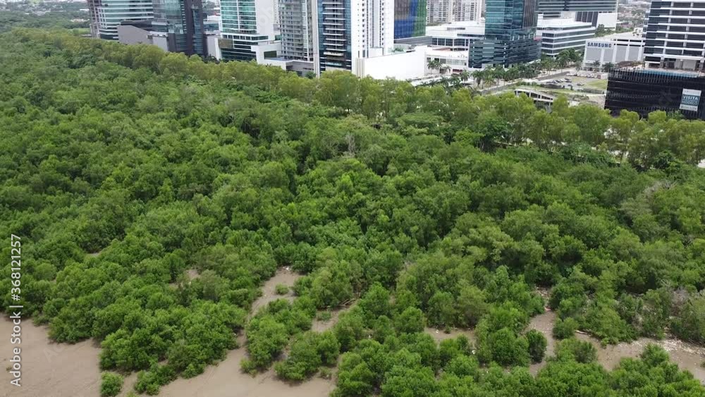 aerial view of mangrove and city aerial view of mangrove and city