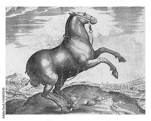 Horse from Scythia, vintage illustration. photo