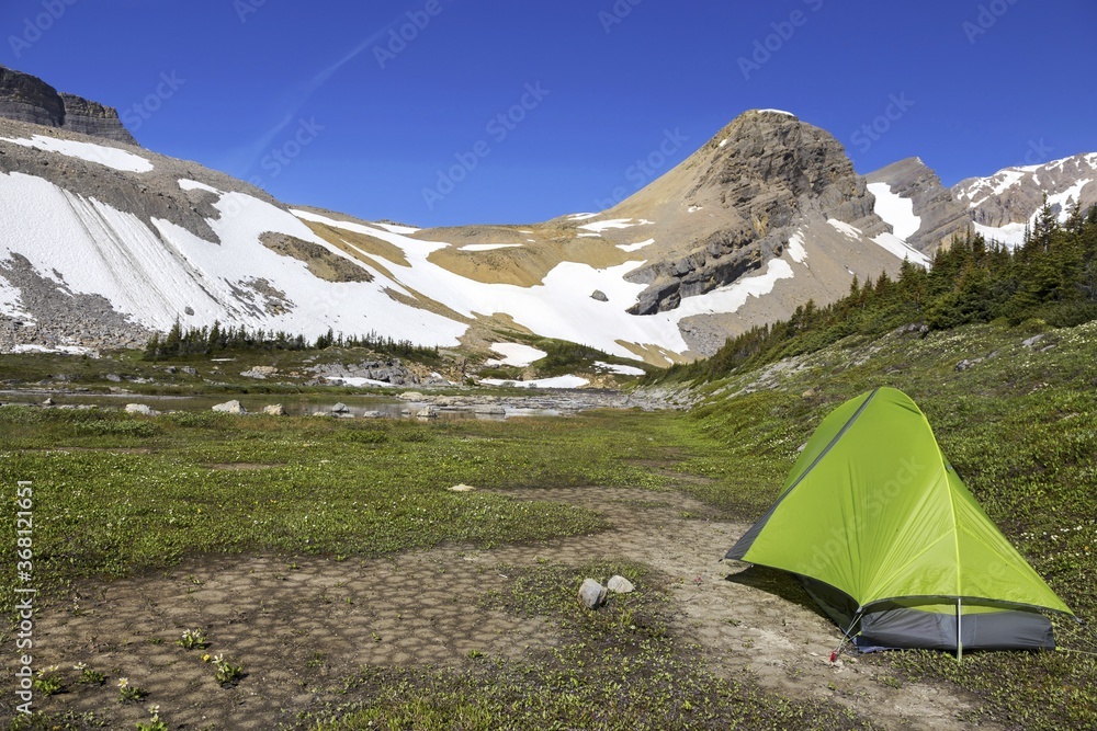 Wilderness Backcountry Nature Camping Tent in Canadian Rocky Mountains Alpine Meadow Summertime Landscape