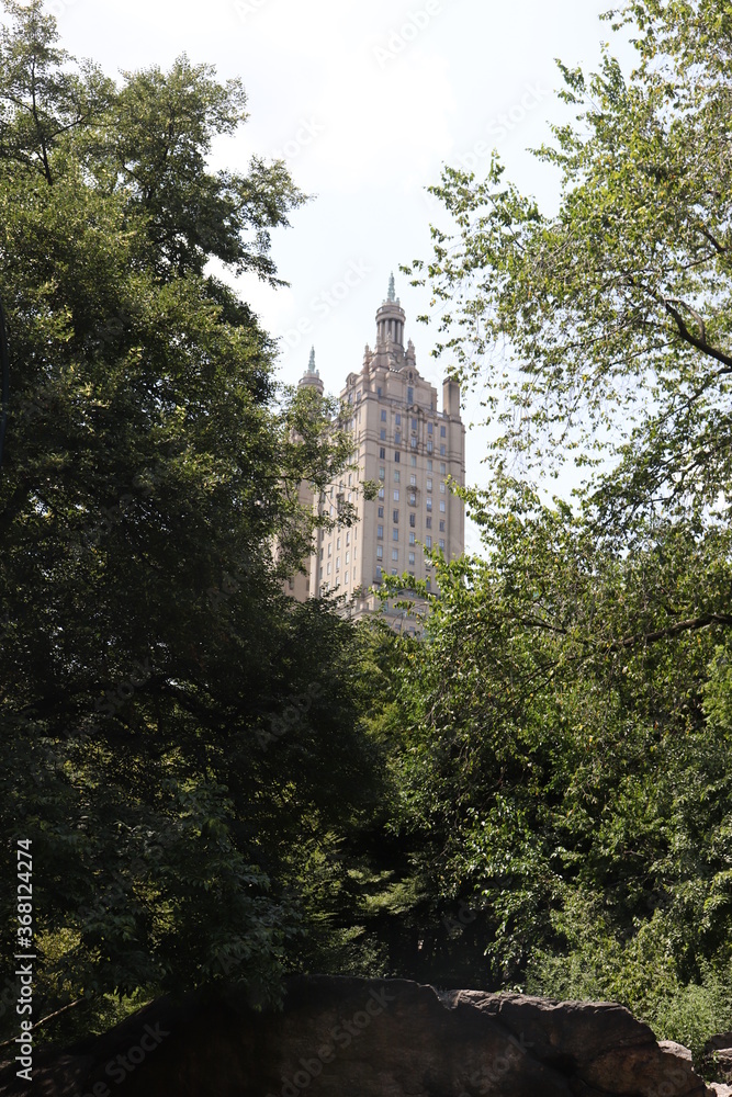 Building view from Central Park Building view from Central Park