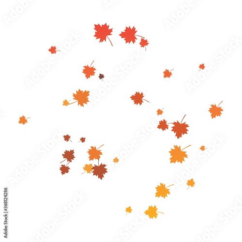 Wallpaper Mural Autumn Leaf background Torontodigital.ca