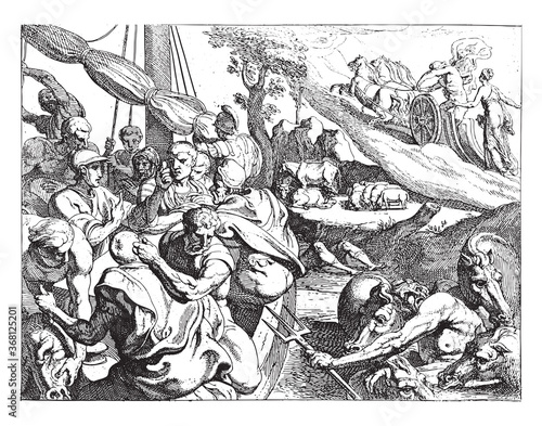 Cattle of Helios, vintage illustration.