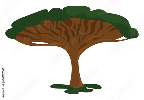 Dragon tree, illustration, vector on white background