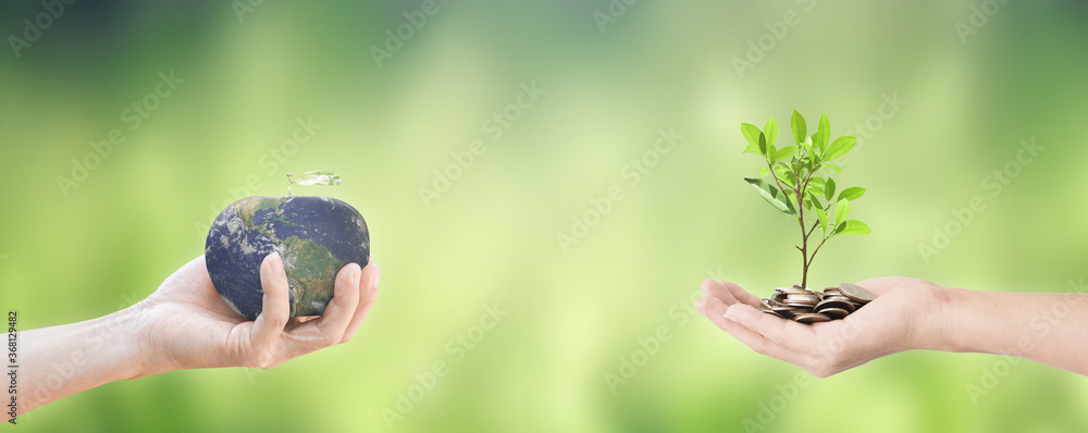 Earth day concept. Two hands holding earth and tree over green nature background. Elements of this image furnished by NASA