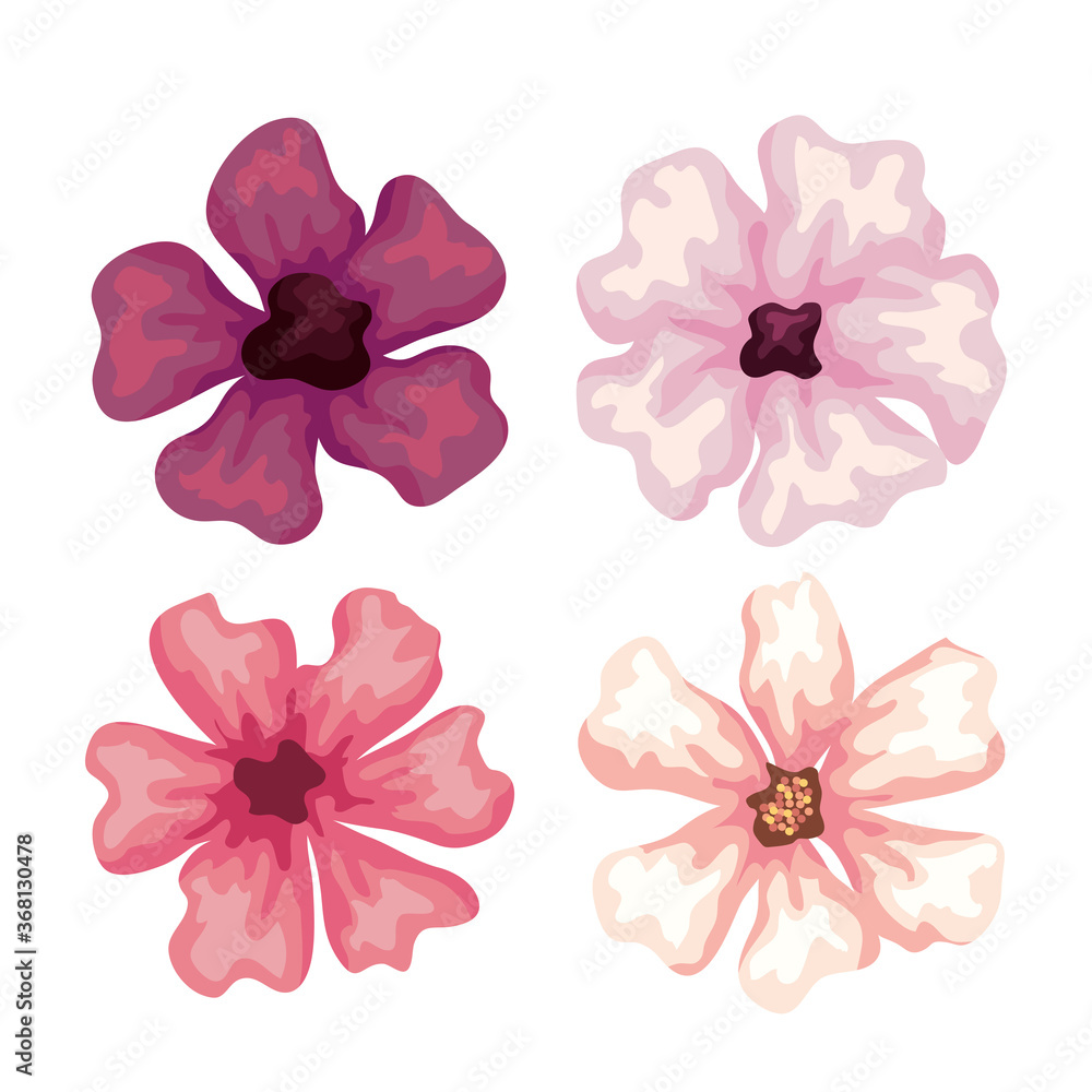 set of flowers, nature decoration vector illustration design