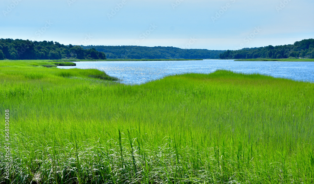 A bright green expanse of tidal salt marsh opens out to the blue water of Stony Brook Harbor on Long Island's north shore..  Copy space.