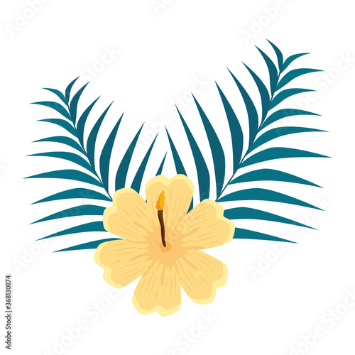 hibiscus beautiful yellow color  with branches and tropical leaves nature  spring summer botanical vector illustration design