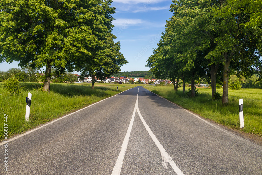 Country road with trees in summer Country road with trees in summer