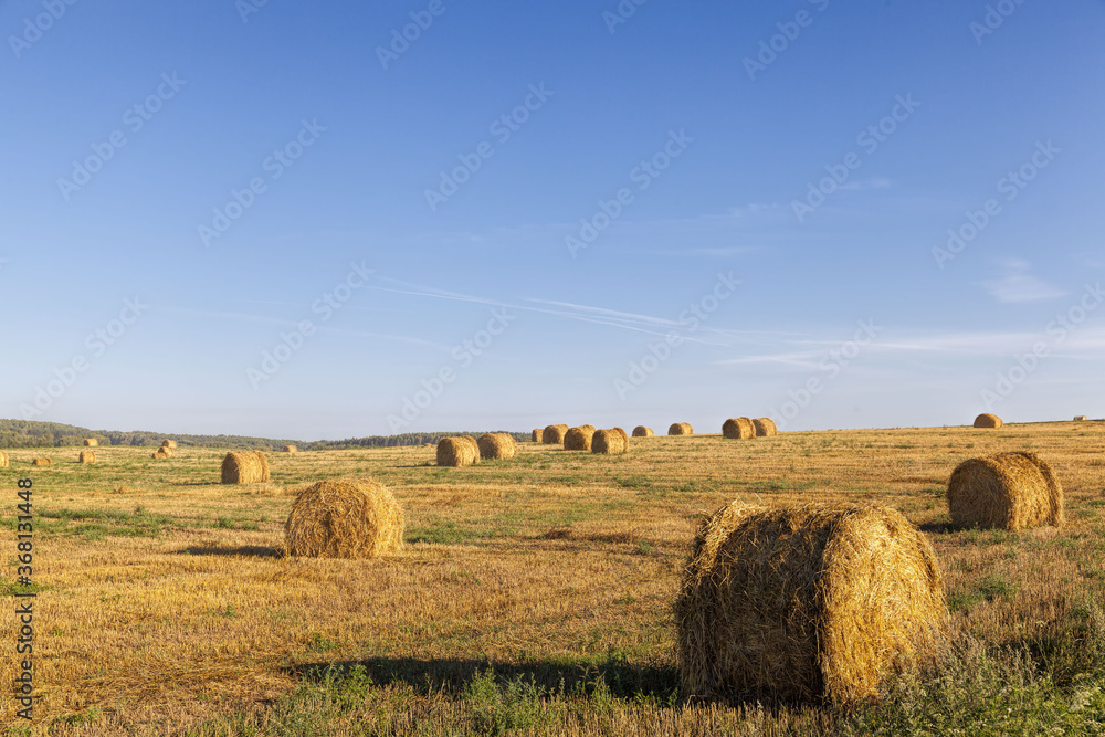 a stack of straw