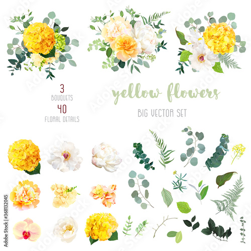 Yellow hydrangea, mustard rose, peony, white iris, orchid, spring garden flowers