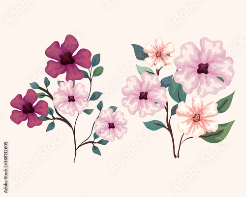 set of flowers  branches with leaves  nature decoration vector illustration design