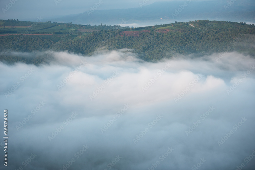 Foggy morning mist in valley beautiful in Thailand Asian - Misty landscape mountain fog and forest tree view on top