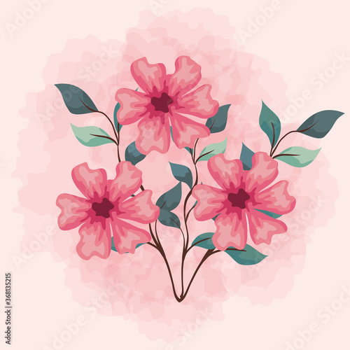 flowers pink color  branches with leaves  nature decoration vector illustration design