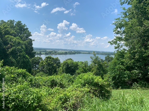Lake seen amongst tress in a park under clear blue sky