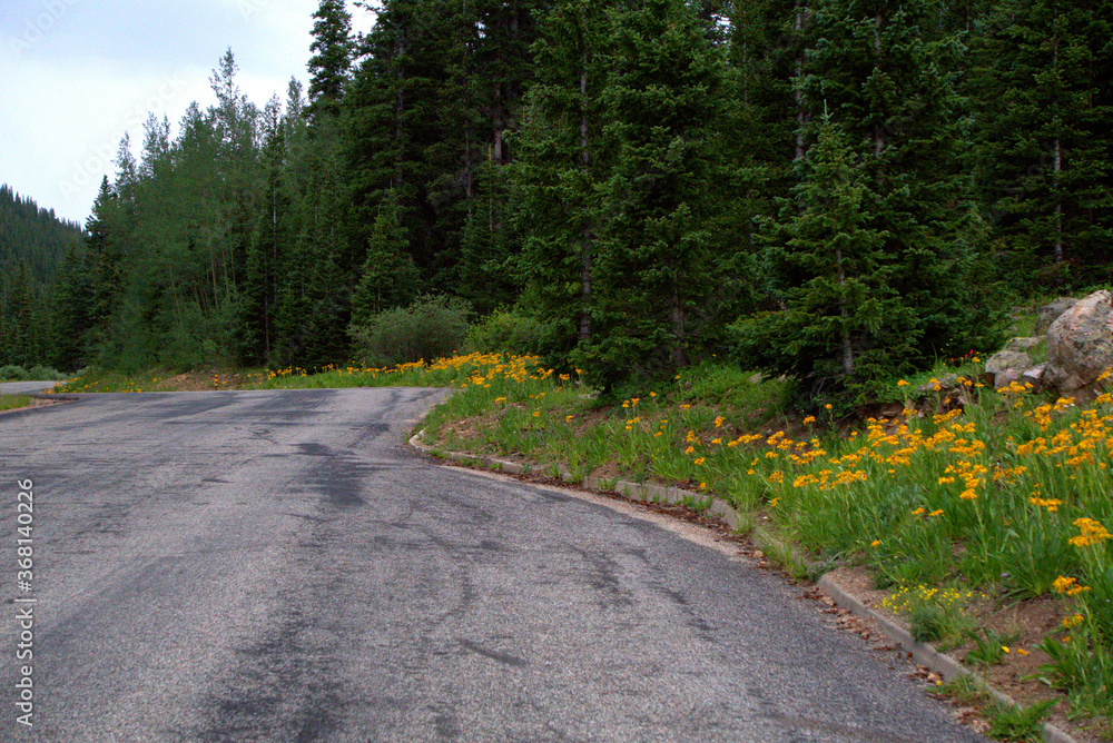 Obraz premium Mountain Landscape in the Colorado Rocky's