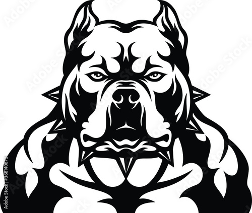Head of Aggressive American Bully Dog