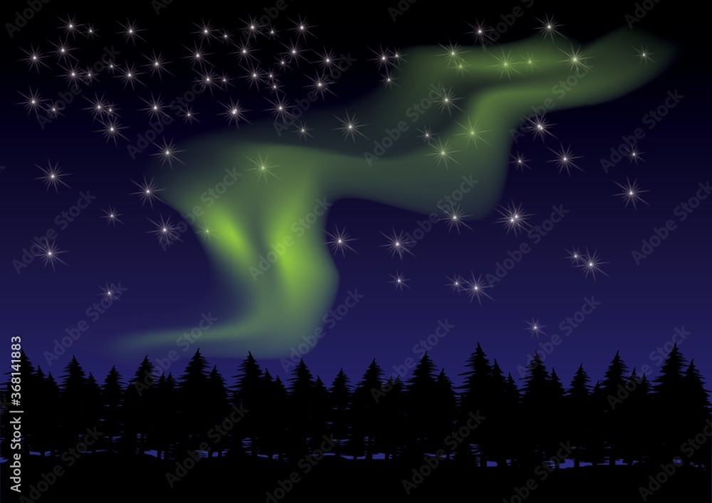 aurora in the night sky