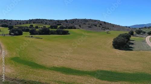 bird's eye view of green meadows and trees between mountains.drone concept