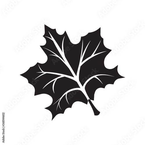 maple leaf