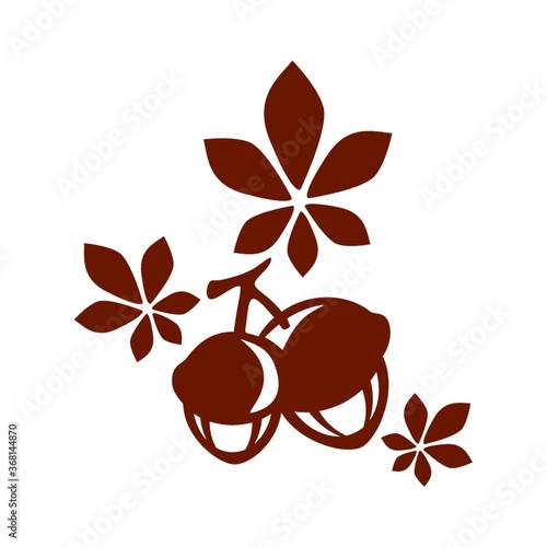hazelnuts