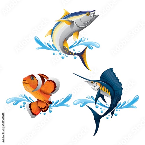 fishes