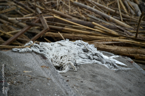 海辺に打ち上げられた漂流物やゴミ © studio Hoto