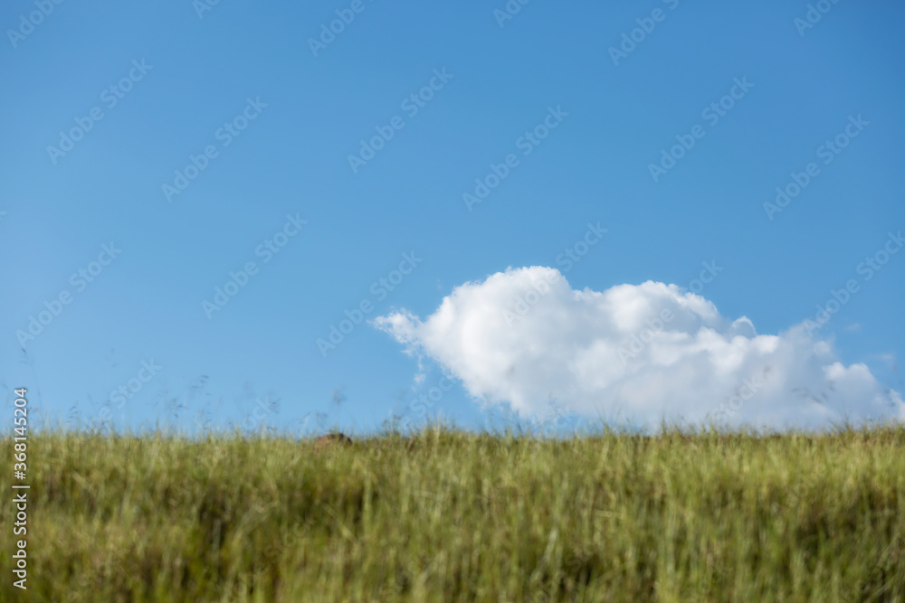Blue sky background with clouds Blue sky background with clouds