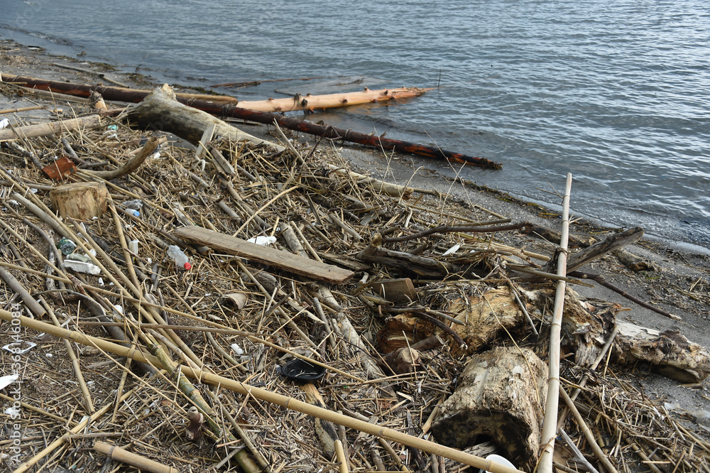 Obraz premium 海辺に打ち上げられた漂流物やゴミ