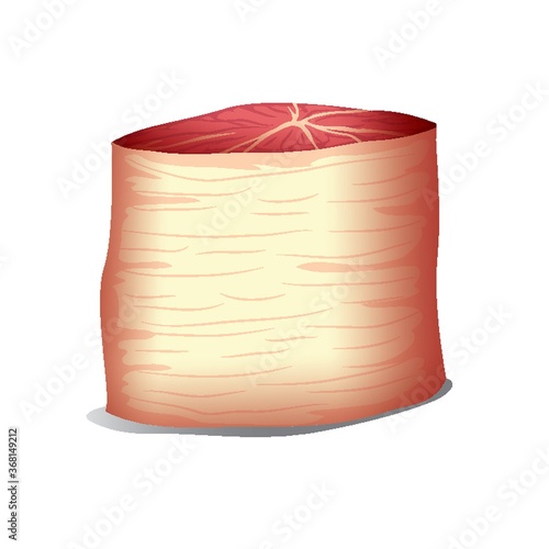 meat