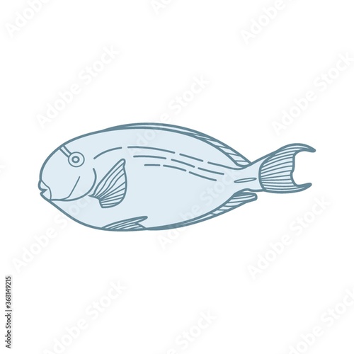 fish