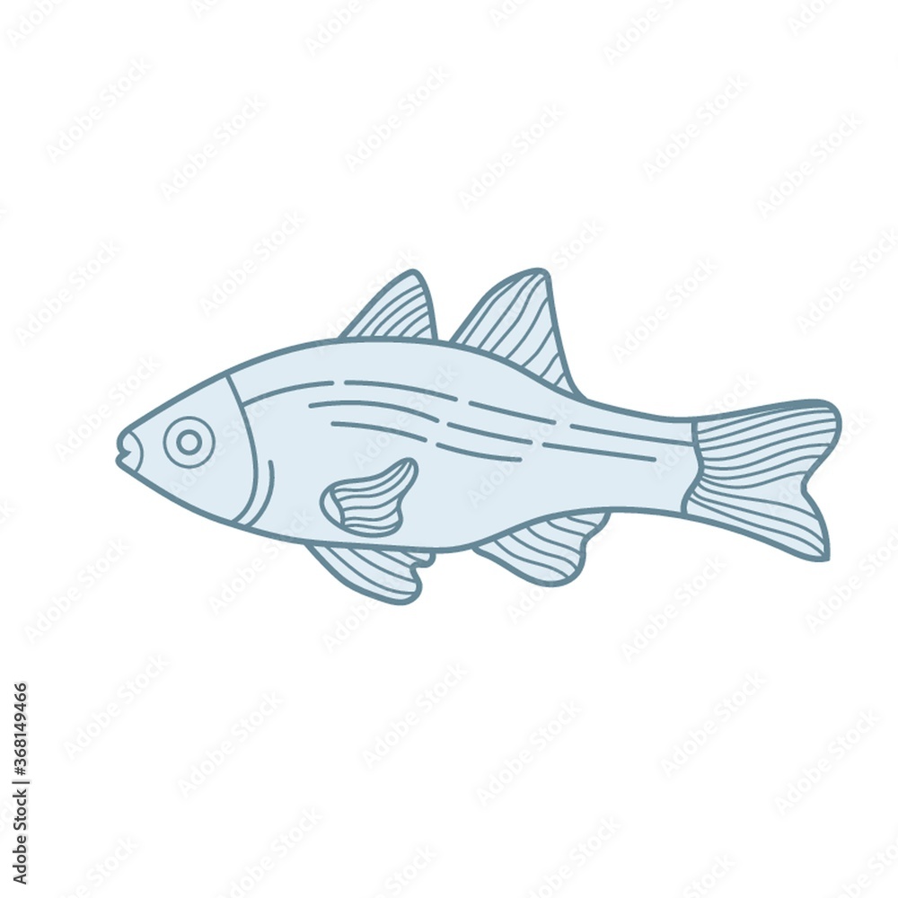 fish fish