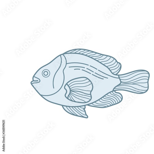 fish