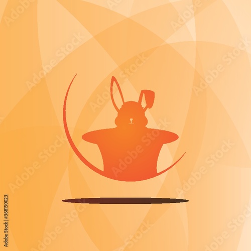 rabbit in magician hat