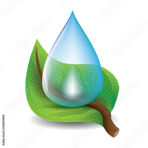 leaf with water drop