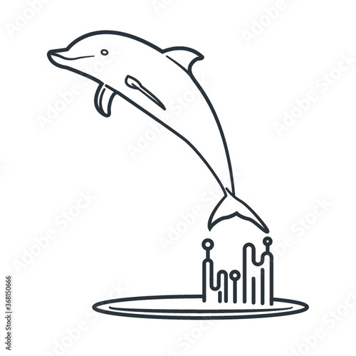 dolphin