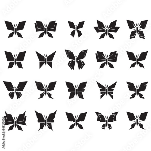 collection of butterflies