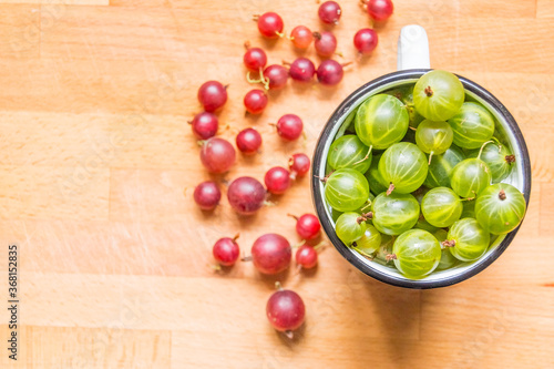 Close up of green fresh gooseberries in white cup, healthy homegrown berry Organich ripe gooseberry over rustic wooden background. Sweet and juicy berry.