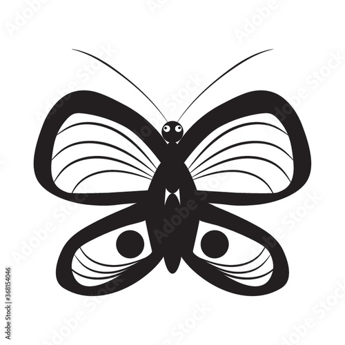 butterfly